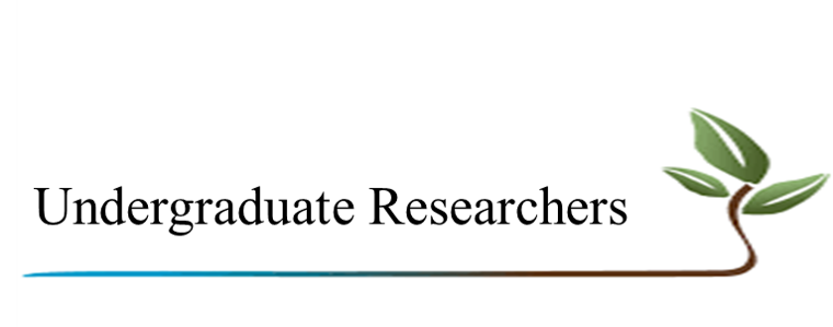 Undergraduate Researchers